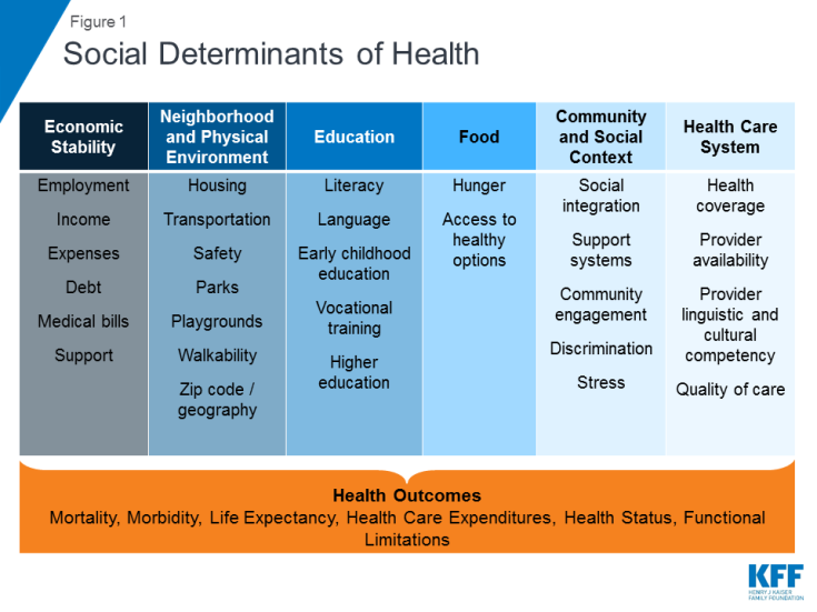 Chart of Social Determinants of Health - Economic Stability, Neighborhood and Physical Environment, Education, Food, Community and Social Context, and Health Care System
