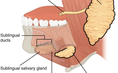 Geriatric Dentistry: Understanding the Role of Saliva