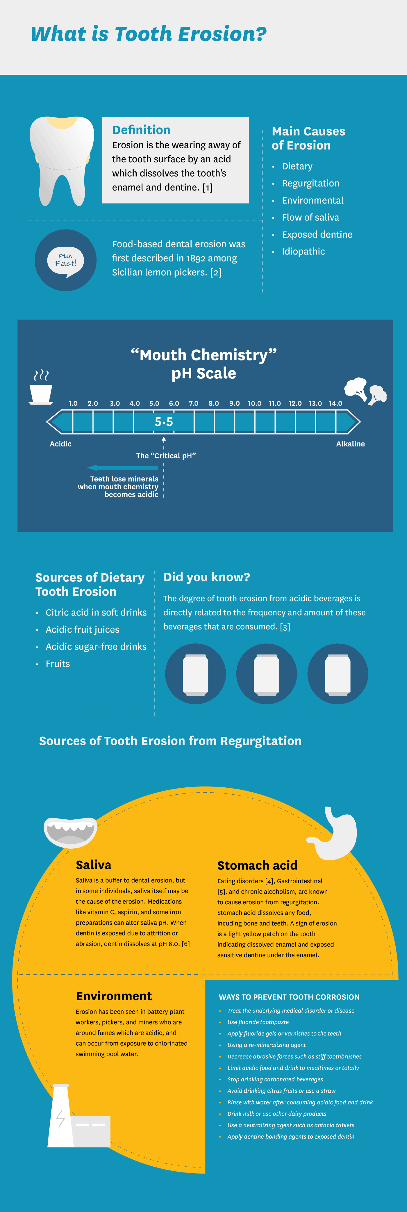 What is Tooth Erosion Infographic